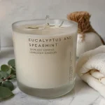 Eucalyptus and Spearmint 100% soy candle